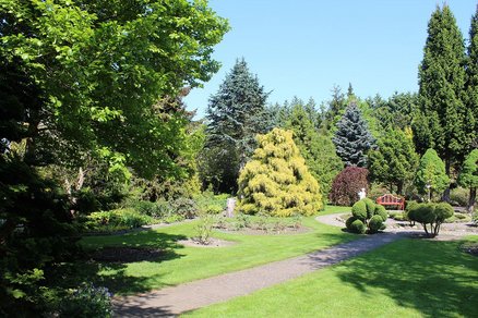 zeigt Grünfläche des Botanischen Gartens in Christiansberg