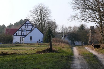 zeigt einen unbefestigten Weg mit Hund, angrenzende Gebäude und Waldrand