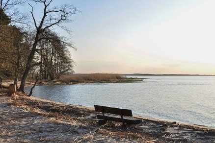 zeigt den Naturstrand Altwarp Siedlung und eine Bank
