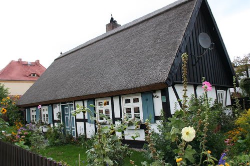 zeigt Fachwerkgebäude mit Schilfdach