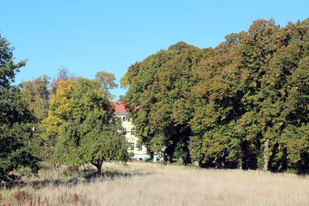 zeigt Riether Schloss zwischen hohen Bäumen
