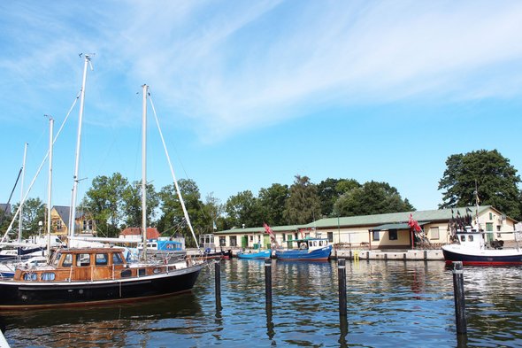 zeigt Blick in den Hafen mit Booten und Gebäuden