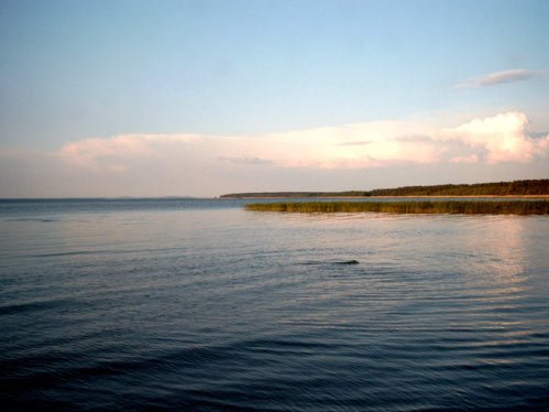 zeigt Blick auf das Stettiner Haff vom Strand aus