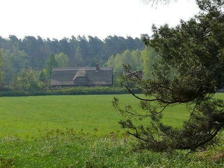 zeigt Blick über ein Feld auf ein Gebäude mit Schilfdach