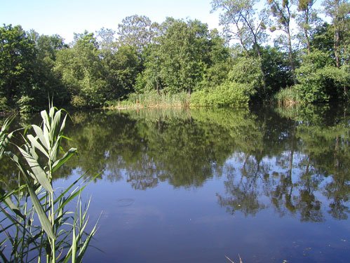 zeigt Blick auf die Erdkuhle
