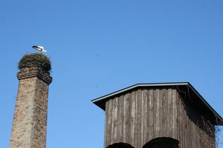 zeigt hohen gemauerten Schornstein mit Storchennest und Storch darauf