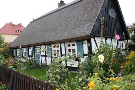 zeigt sanierte Fachwerkkate mit Schilfdach und blühende Gartenstauden