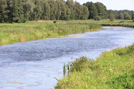 zeigt kleinen Fluss zwischen Wiesen und Wald