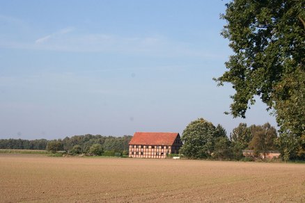 zeigt eine alte Fachwerkscheune am Rande eines unbestellten Feldes