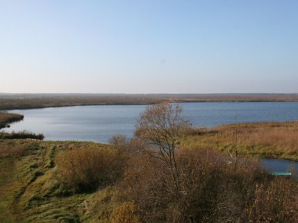 Ludwigshofer See zeigt Blick auf den See bei Ludwigshof