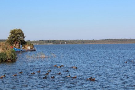 zeigt Warper See