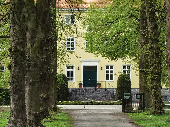 zeigt Blick durch eine Allee auf Schloss Rieth