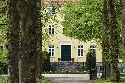 zeigt Baumallee mit Blick auf Schloss Rieth
