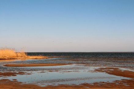 zeigt Strandbucht bei Niedrigwasser
