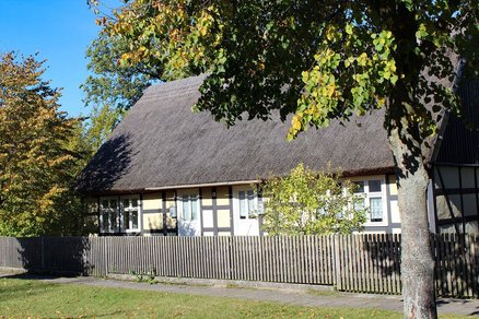 zeigt ein saniertes Fachwerkhaus mit verputzter Ausfachung und Schilfdach, davor ein Holzstaketenzaun und großer Laubbaum