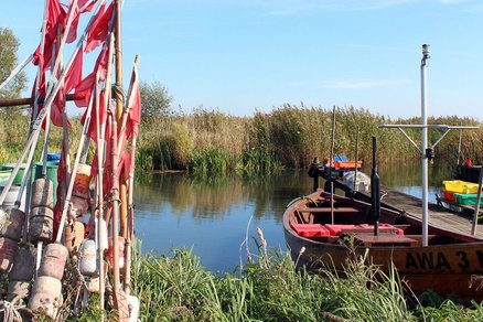 zeigt vertäutes Fischerboot an einem Holzsteg, Reusenstaken mit roten Wimpeln und Schilfgürtel