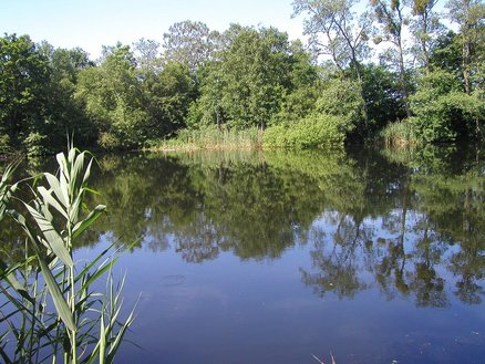 zeigt den Teich "Erdkuhle"