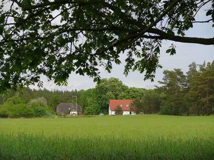 zeigt Blick über ein Feld auf mehrere Gebäude