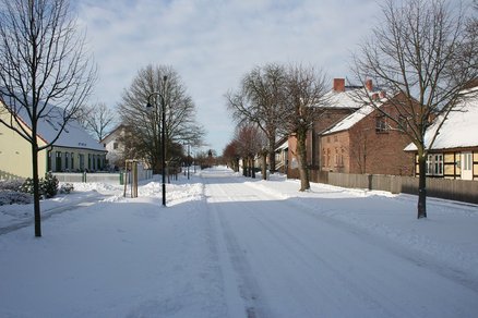 zeigt eingeschneite Straße mit beidseitiger Baumreihe und Bebauung