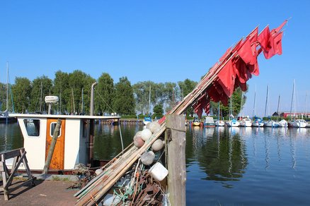 zeigt Blick auf den Seglerhafen mit Segelbooten, im Vordergrund mehrere Reusenstangen mit roten Wimpeln
