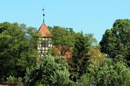 zeigt den Turm der Kirche herausschauend zwischen großen Bäumen und Sträuchern
