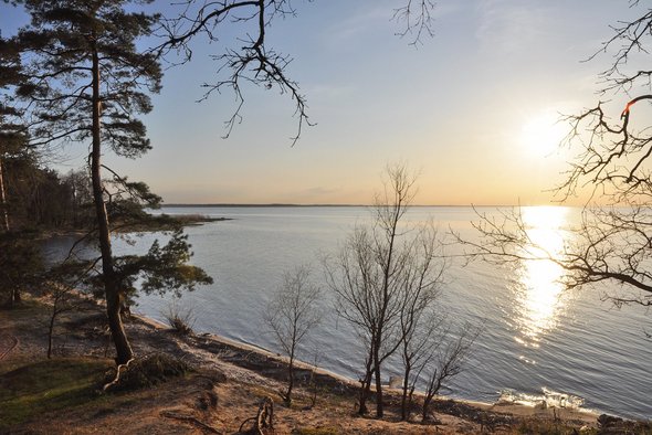 Der Naturstrand bei der Siedlung - einmal Seele baumeln lassen bitte! zeigt Blick über Naturstrand und Haff mit Sonnenuntergang