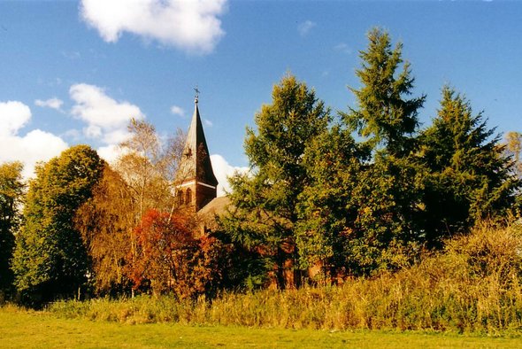 zeigt Blick auf den Kirchturm und Grünfläche mit Baum-/Strauchbewuchs
