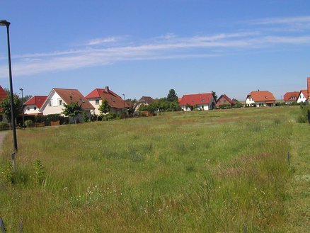 zeigt Blick über eine Wiese auf Wohngebiet mit Familienhausbebauung