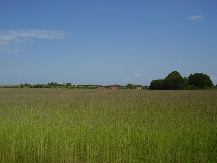 zeigt Blick über eine Wiesenfläche hinweg mit einigen Gebäuden im Hintergrund
