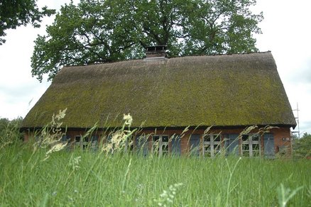 zeigt altes Bauerhaus mit Schilfdach
