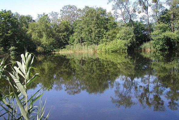 An dem kleinen Teich Erdkuhle kann vom Tag abgeschaltet werden. zeigt den Teich Erdkuhle