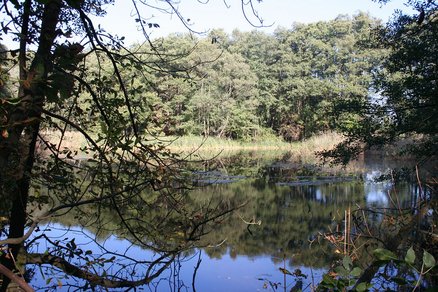 zeigt Teich bei Vogelsang