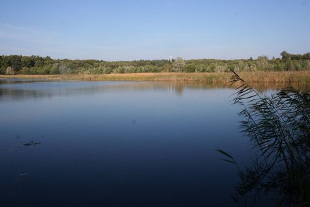 zeigt Wasserfläche des Neuwarper Sees bei Rehhagen