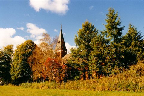 zeigt Blick auf den Kirchturm und Grünfläche mit Baum-/Strauchbewuchs