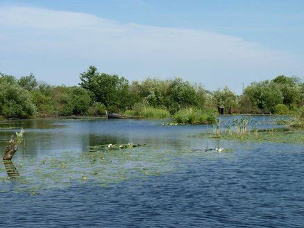 zeigt Wasserlauf der Uecker