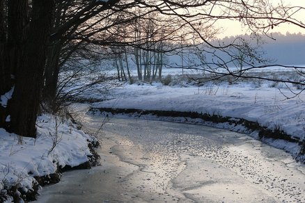 zeigt Schneelandschaft