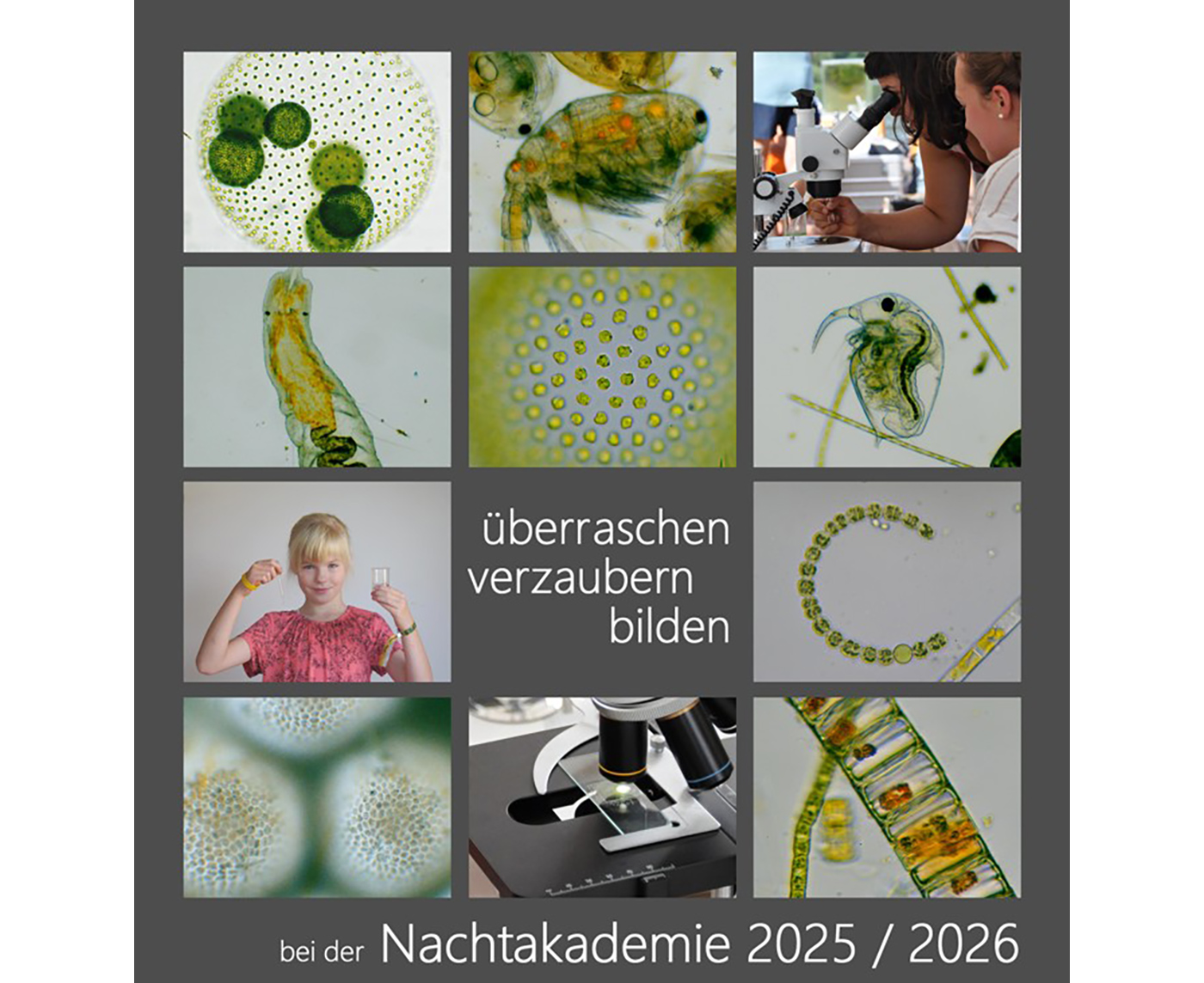 zeigt Veranstaltungsplakat Nachtakademie 2025/2026